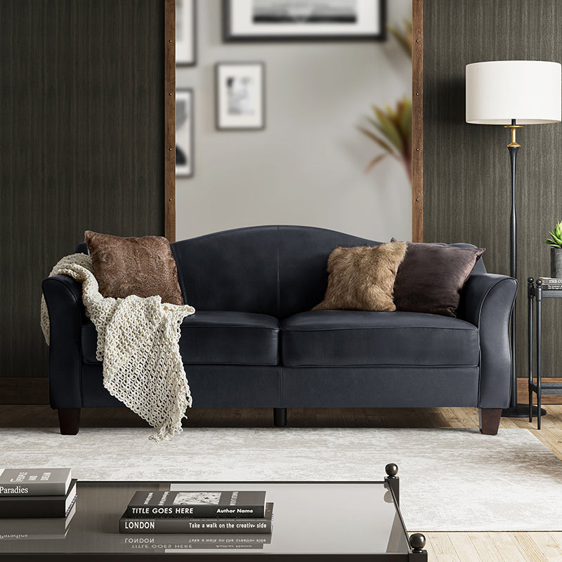 Hugo Traditional Style Curved Genuine Leather Elegant Sofa