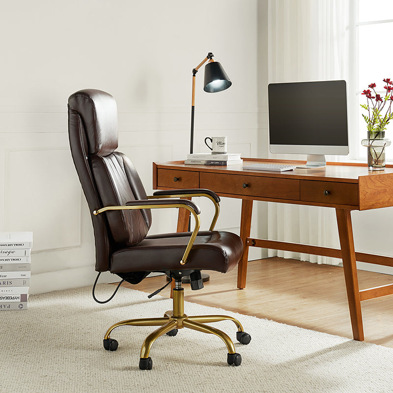 Ludwig Ergonomic Office Chair with Lumbar Support