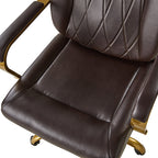 Ludwig Ergonomic Office Chair with Lumbar Support