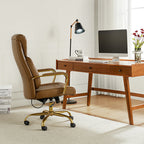 Ludwig Ergonomic Office Chair with Lumbar Support