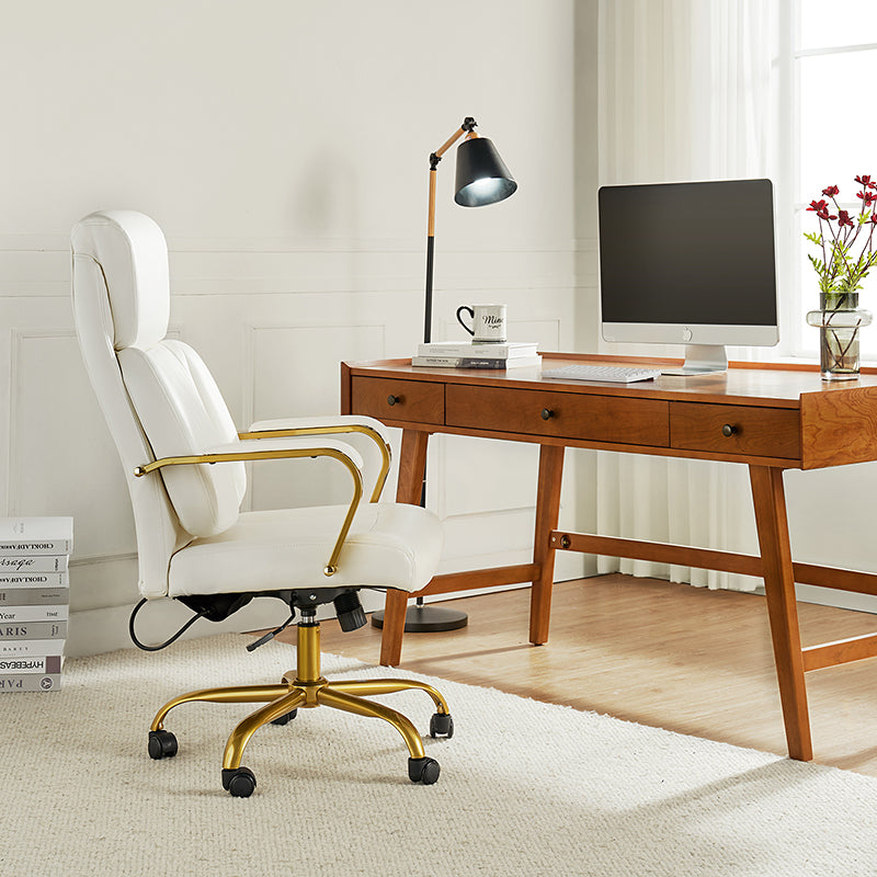 Ludwig Ergonomic Office Chair with Lumbar Support