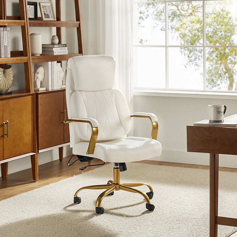 Ludwig Ergonomic Office Chair with Lumbar Support