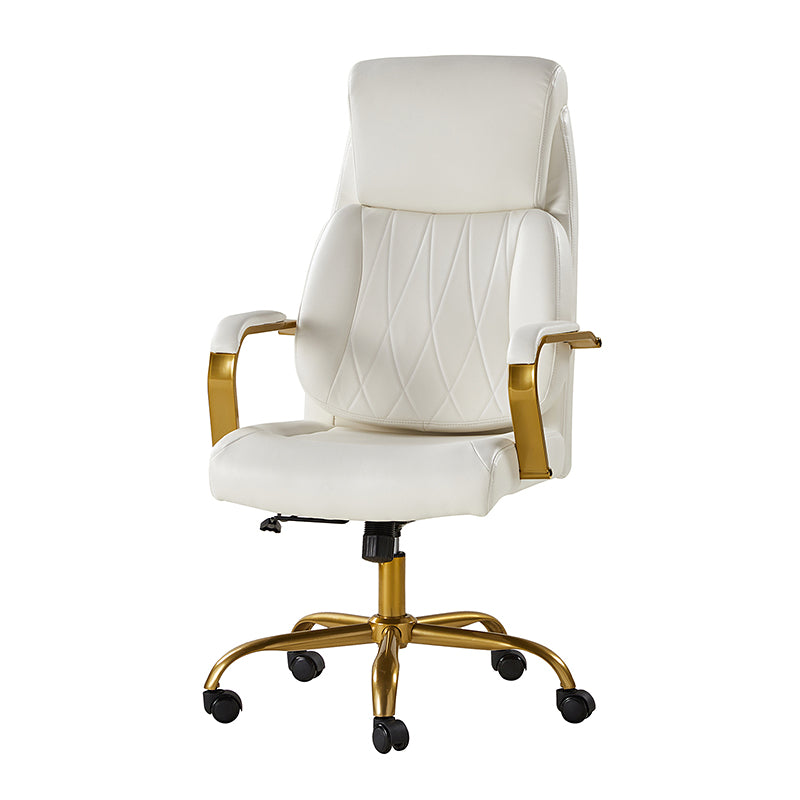 Ludwig Ergonomic Office Chair with Lumbar Support