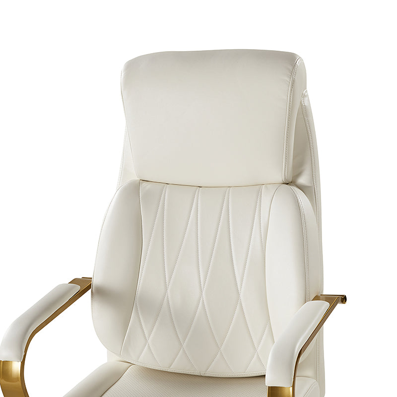 Ludwig Ergonomic Office Chair with Lumbar Support