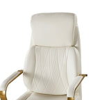 Ludwig Ergonomic Office Chair with Lumbar Support