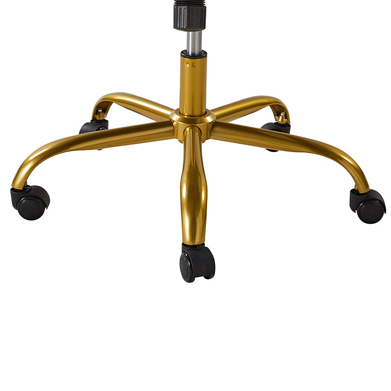 Ludwig Ergonomic Office Chair with Lumbar Support