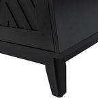 Livius 30 Tall 2-Door Mid-century Modern Accent Cabinet