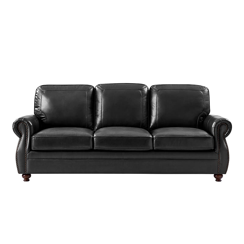 Iliana Genuine Leather Sofa with Elegant Rolled Arms