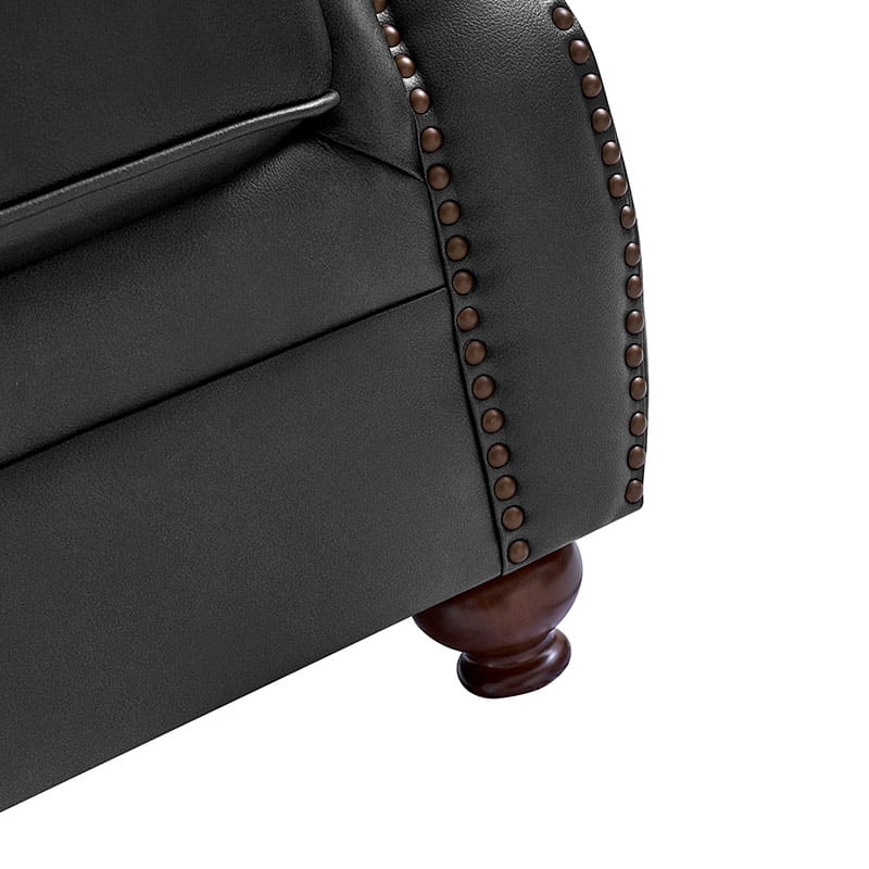 Iliana Genuine Leather Sofa with Elegant Rolled Arms