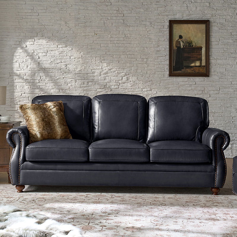 Iliana Genuine Leather Sofa with Elegant Rolled Arms