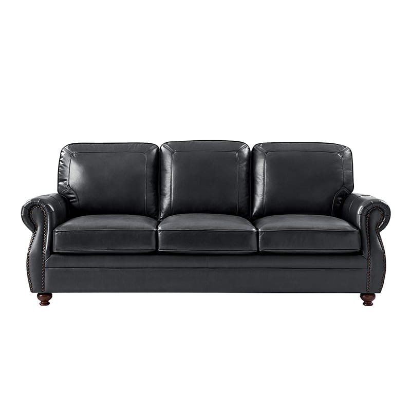 Iliana Genuine Leather Sofa with Elegant Rolled Arms
