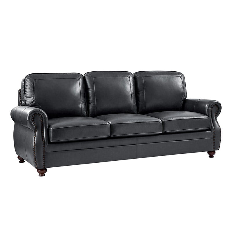 Iliana Genuine Leather Sofa with Elegant Rolled Arms