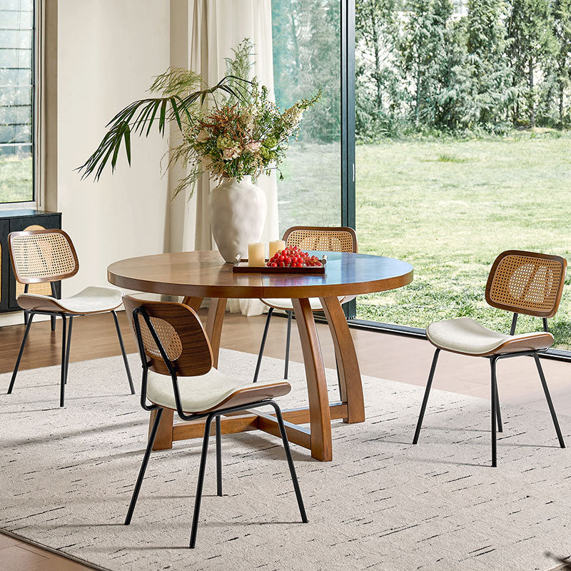 Doley Mid-Century Modern Dining Chair with Rattan Backrest,Set of 2