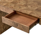 Poplar Burl Desk in Natural Modern Style