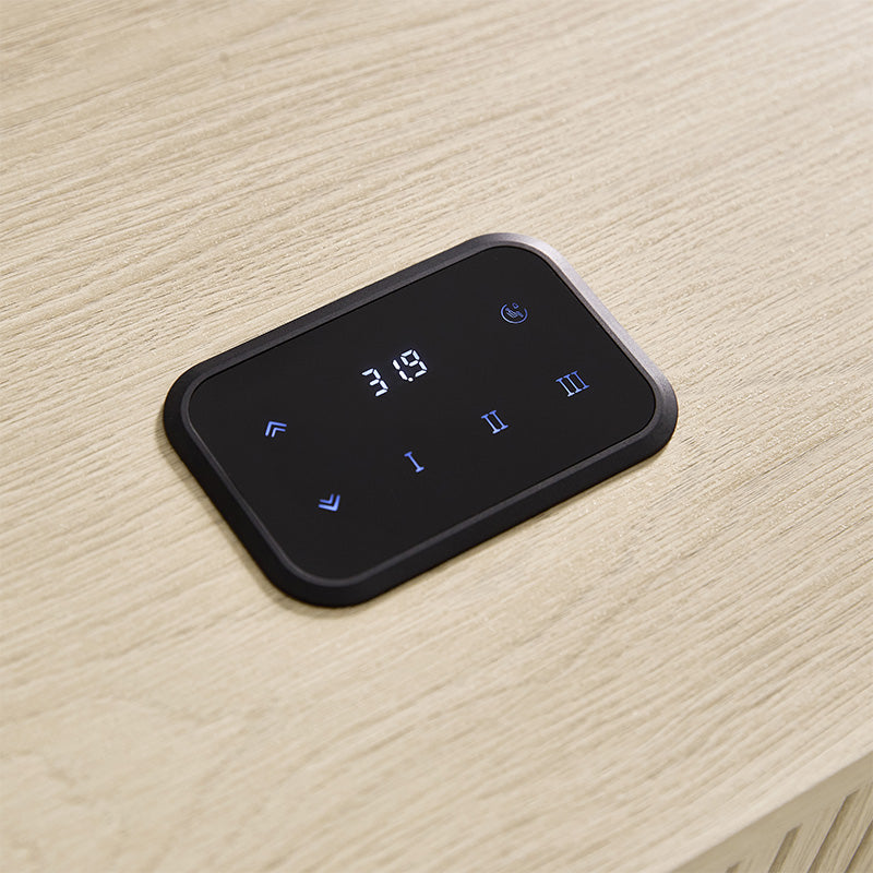 Baggio Modern Electric Adjustable Standing Desk with Cable Management